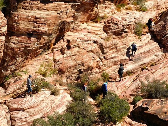 9988DB3F5BCD1C9C22B810