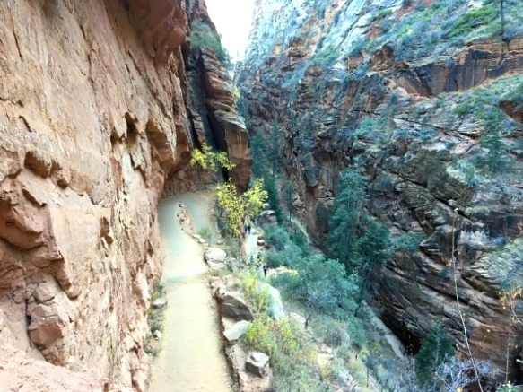 99C6B7335A1CB9062D93FA