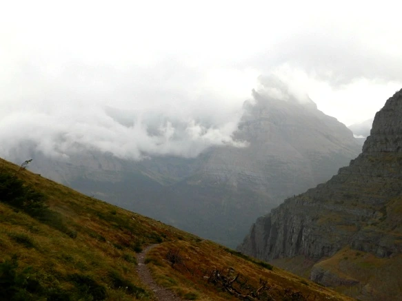 9910C34F5BA062B716E874