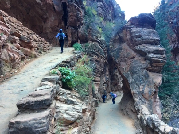 996ED8335A1CB8FC043C43