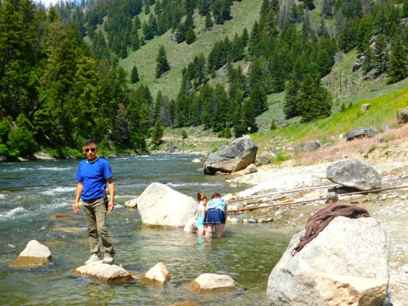 99CB473D5B2F290E251529