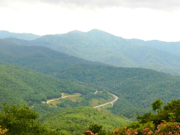 233EC146595096BA34F5E8