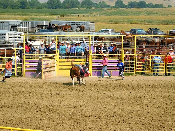 99FD3C355B7D9BB412ED45