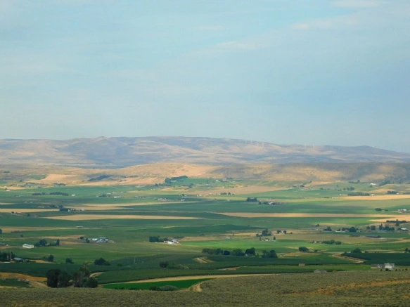 9921B23359A3834019E042