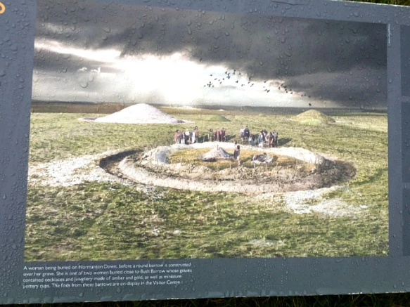 99AE493359D8A54243E444