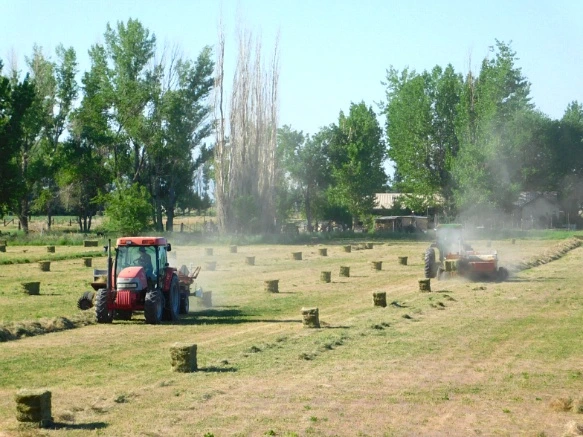 261DB0355932061D2A5669