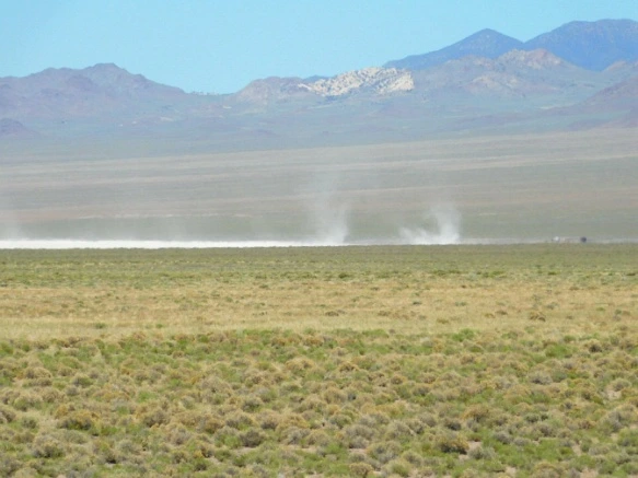 21383942576F44AF23262D