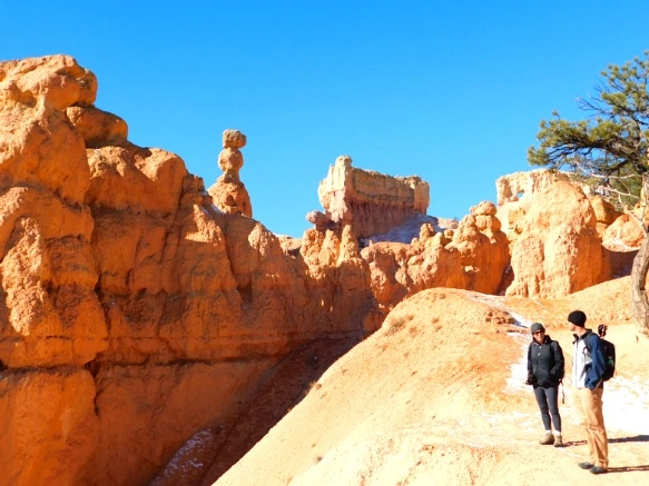 99844B335A1A3B6D38F208