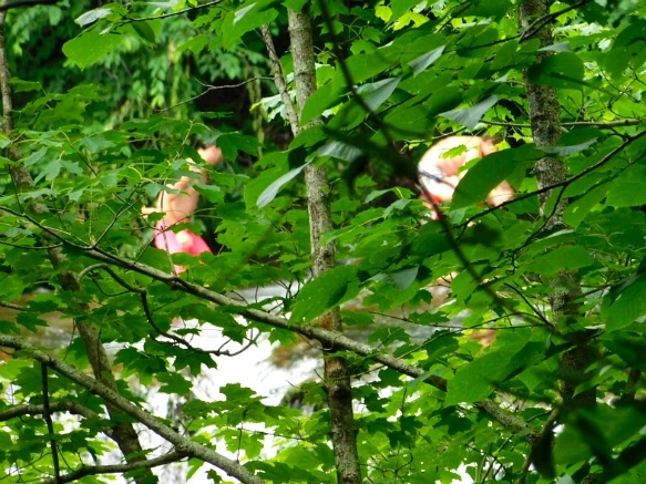 27663D48595020D2026E58