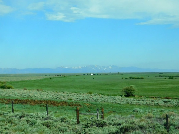 992E774C5B29F21D2C6019