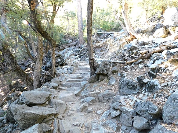 99EC09385BD9127B2FA16D