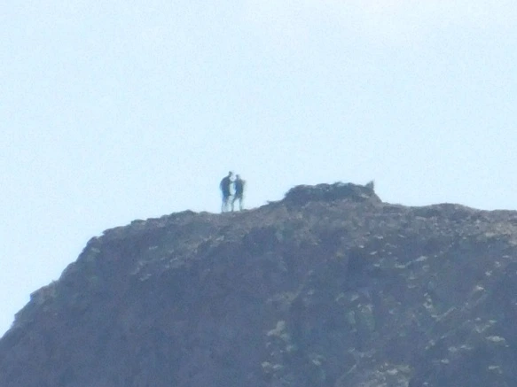 99D6CE475B6BA31F2BF327