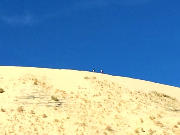 99F3FC335A20C384391582