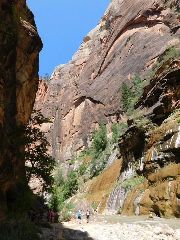 99CF833359BB1318016982