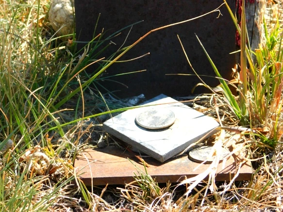 99E3413359AB2BB8177874