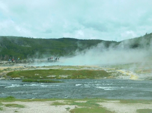 9940BB4E5B39A596271493