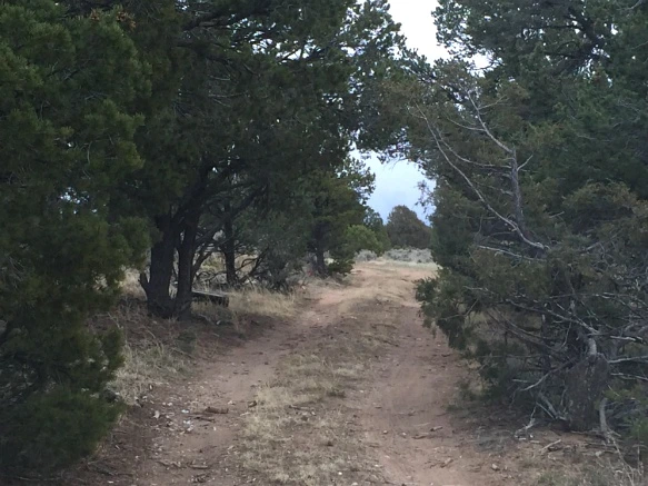 216E423B5705B1EA163B3C