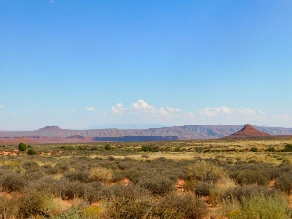 99B5C23359BDC21320E381