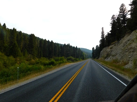 991F1D33599E4F7747DA1A