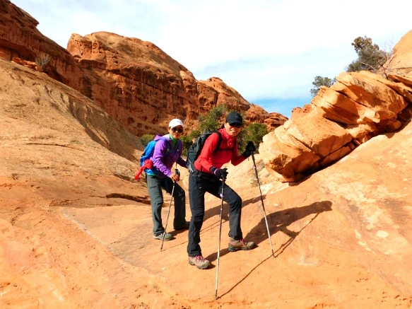 99FFC5335A18D5011E2D93