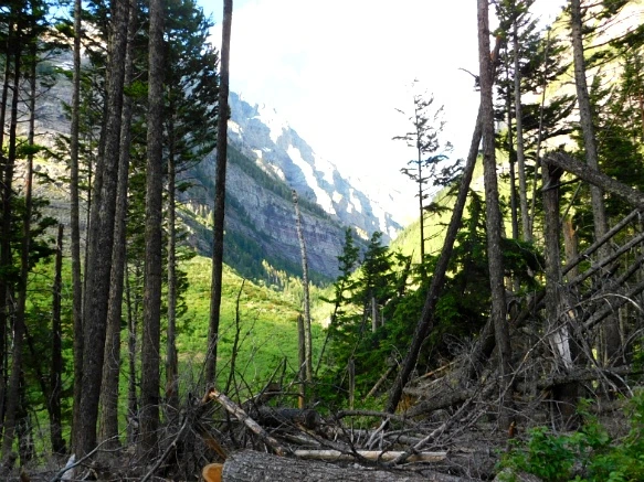 996C8A4D5B38160C309F08