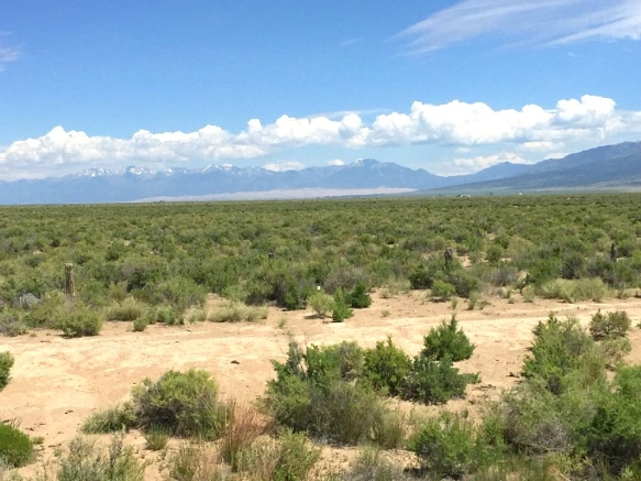 253E5433575F84C5228866