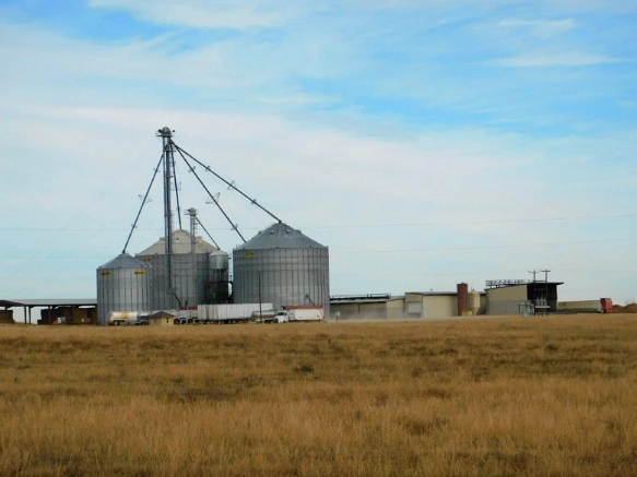 99F21A335A07C84B2A2811