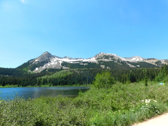 263AE43F595C318A21657E