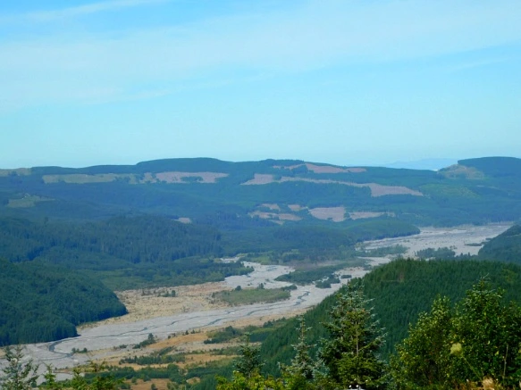 99729C3359A4AE0C0AAAD7