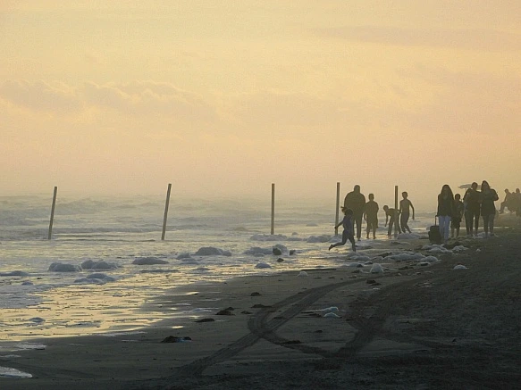 99B526335BF9FC470FDB11