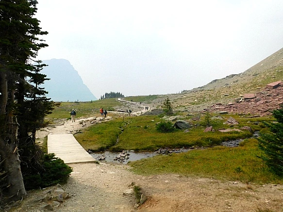 9982A2405B8A01E308334A