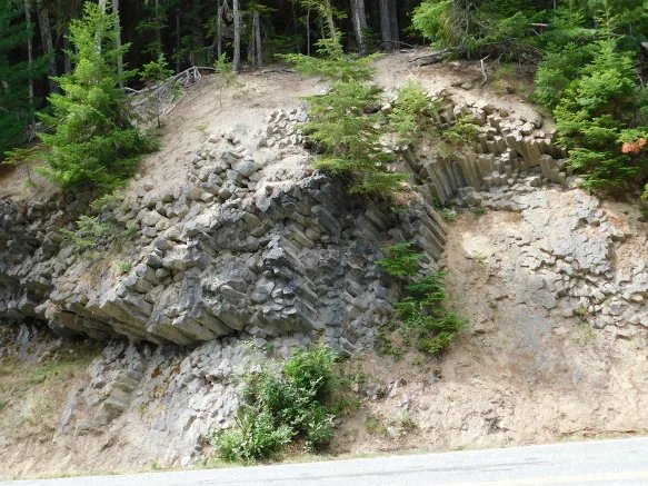 99F8683359A4AB0C36E116