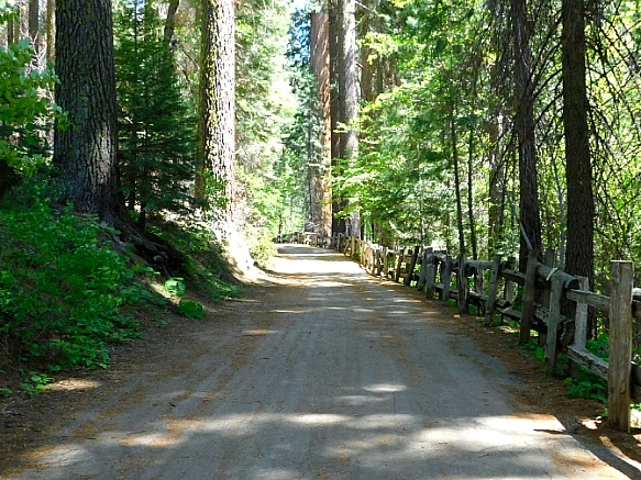 272FA53C57736C3D2F546D