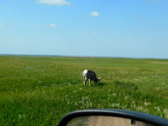 9981974A5B480AB736AA96