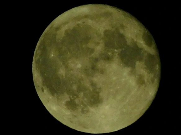 99D6423359B1EDDD366984