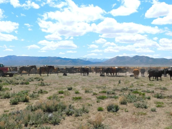 210424465936357C022516