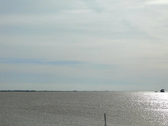 99ACAC345BFC9CEF0D6695