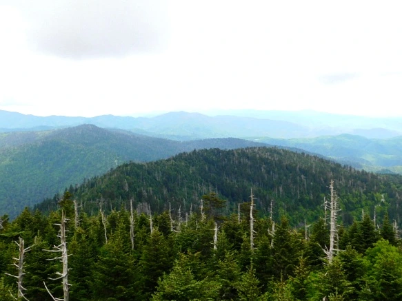 234BDD4F595098D6172F7C