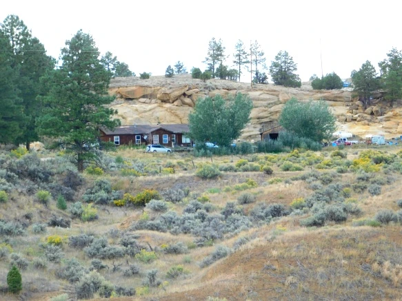 99F9123359C33526128208