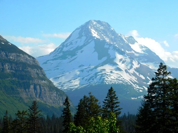 99586E465B3573B6058668