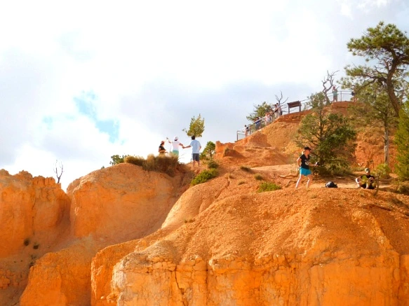 99BF7D3359B9BBEF235098