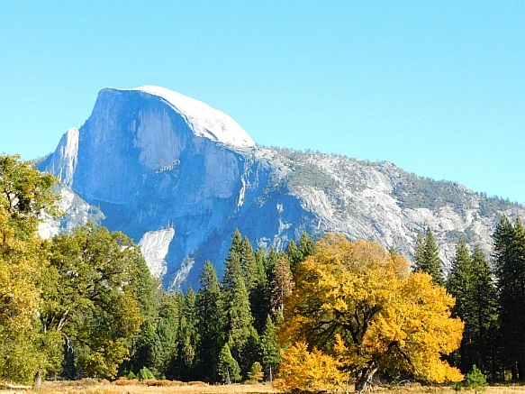 99EE013C5BD672372D18DD