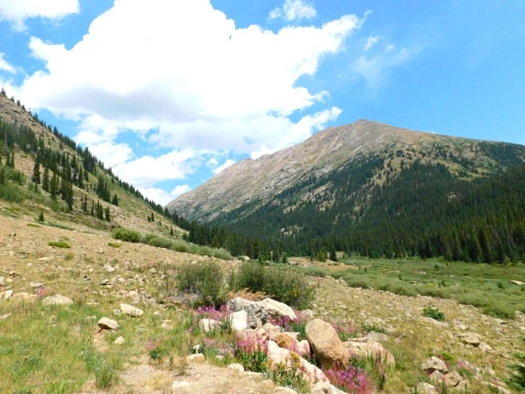 996F544B5B6BA3082AF2F2