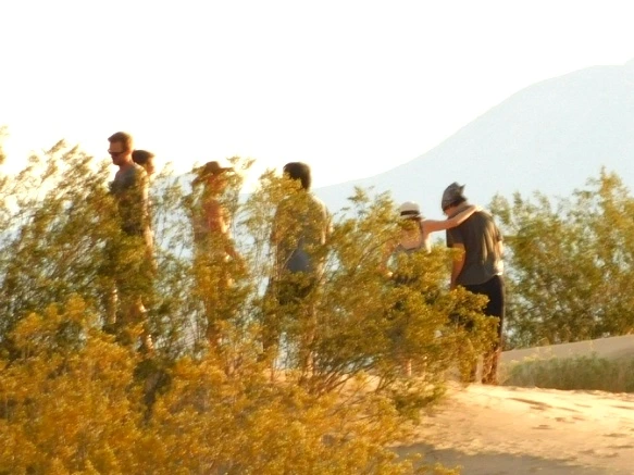 23238D37577B02C82C32BE