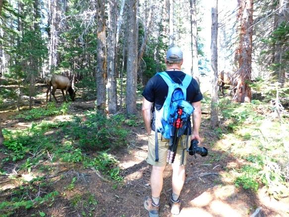 99B7F4495B7266CB2FADA8