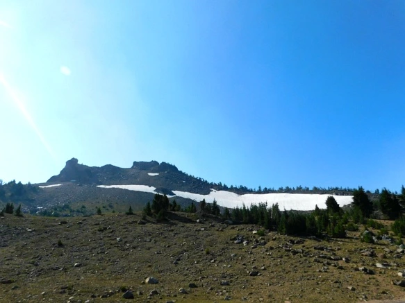 993F533359A62E8C385ED9