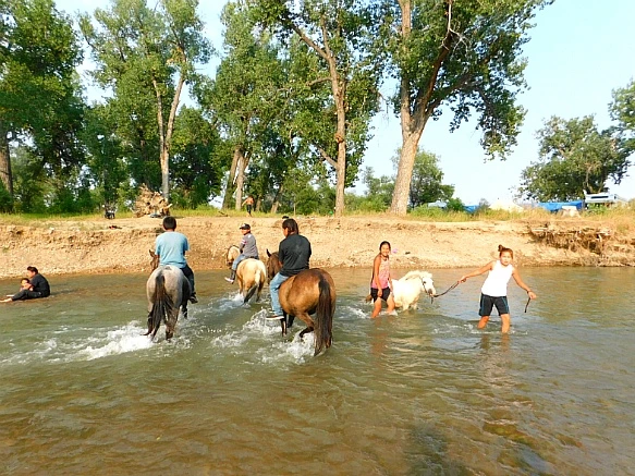 99A411375B7DA078055C87