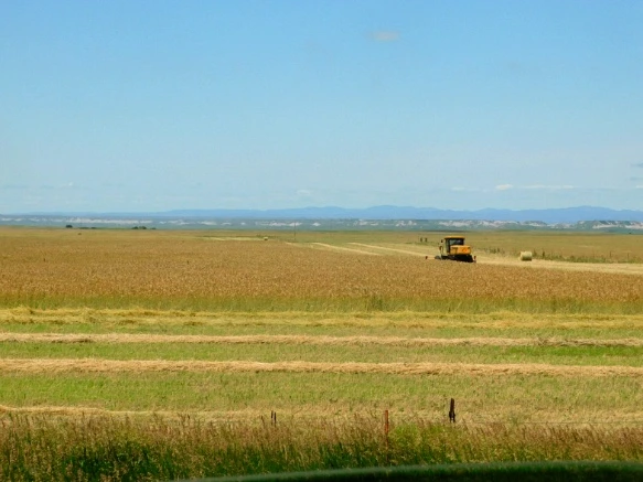 999E214A5B442E4D1EC030