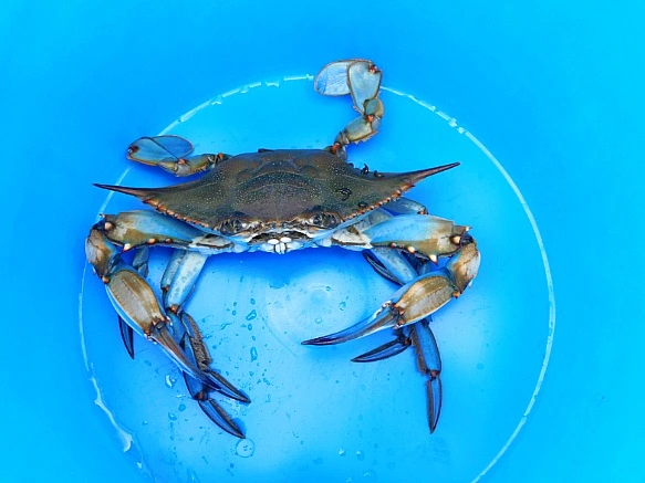 996ED5365BF9F8C30700AB