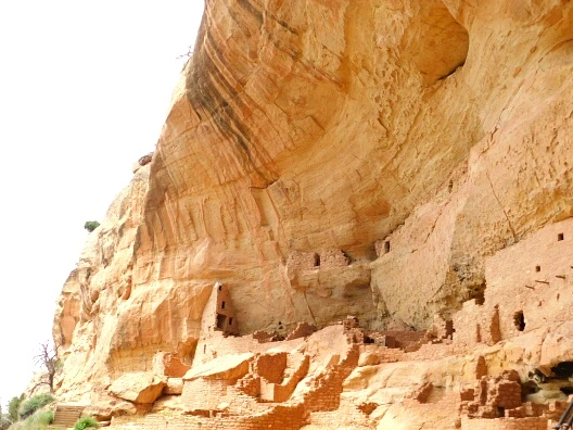 255D623E576228812DFDB7